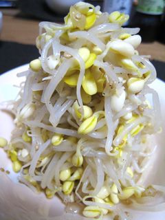 我が家の★おつまみ豆もやしナムル-レシピのメイン写真