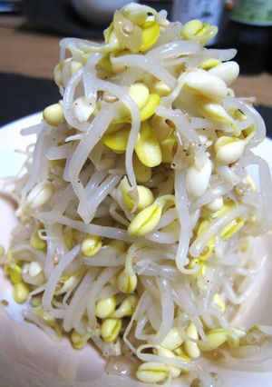 我が家の★おつまみ豆もやしナムル-レシピのメイン写真