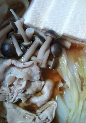 豚肉、白菜、豆腐の煮物-レシピのメイン写真