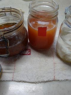 酵母飼育中-レシピのメイン写真