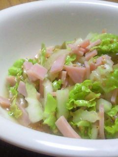 簡単☆シャキシャキ白菜サラダ~中華風-レシピのメイン写真