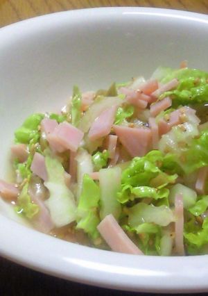 簡単☆シャキシャキ白菜サラダ～中華風-レシピのメイン写真