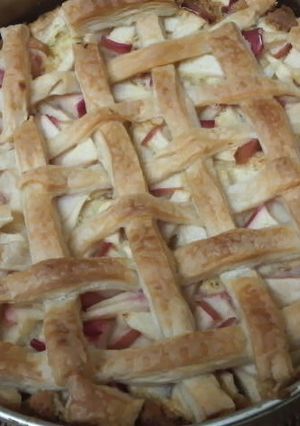 生りんごで作るパイケーキ-レシピのメイン写真