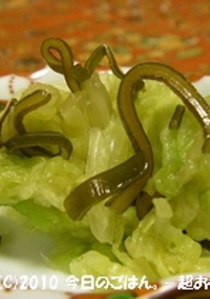 白菜の超浅漬け　塩昆布としゃかしゃか♪-レシピのメイン写真