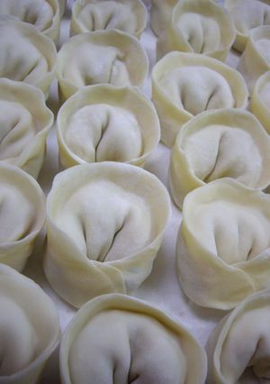 水餃子(マンドゥ)の皮-レシピのメイン写真