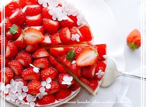 本格苺のレアチーズケーキ-レシピのメイン写真