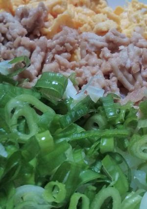 緑は葱で♪我が家の三色ご飯-レシピのメイン写真