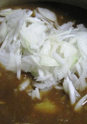 カレーに入れるだけ☆-レシピのメイン写真