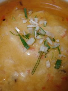 豆腐の簡単レンジ蒸し-レシピのメイン写真