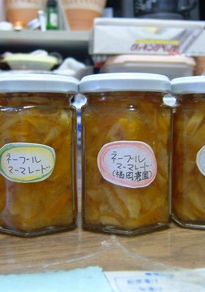 ネーブルのマーマレード-レシピのメイン写真