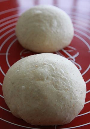 全粒粉入りのパン生地-レシピのメイン写真