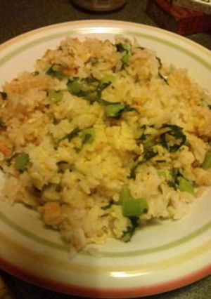 節約☆野沢菜チャーハン-レシピのメイン写真