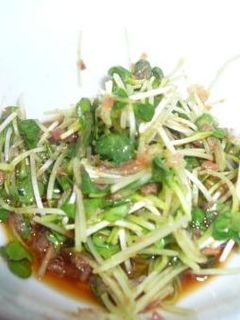ご飯によく合う!☆かいわれのおかか和え☆-レシピのメイン写真