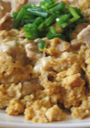 豚肉と玉子だけの丼　あっ！ネギトッピング-レシピのメイン写真