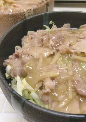 圧力鍋で簡単豚丼-レシピのメイン写真