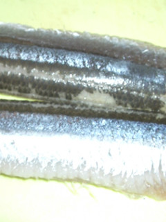 簡単☆台所が汚れない☆魚のさばき方-レシピのメイン写真