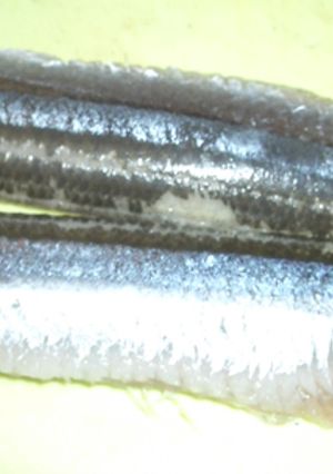 簡単☆台所が汚れない☆魚のさばき方-レシピのメイン写真