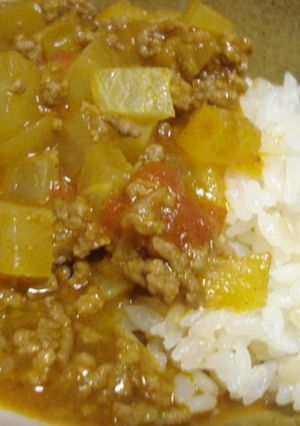 大根と挽肉のトマトカレー-レシピのメイン写真