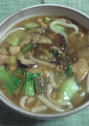 野菜いろいろ☆簡単とろっとカレーうどん-レシピのメイン写真