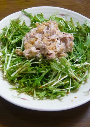 シャキシャキ水菜のサラダ-レシピのメイン写真
