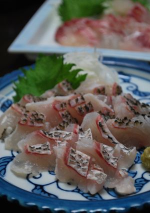 鯛(チヌ)の湯引き-レシピのメイン写真