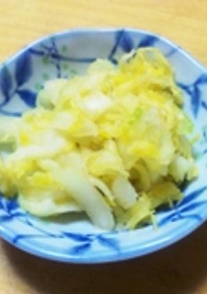 白菜の浅漬け-レシピのメイン写真