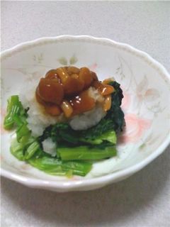 ちぢみ雪菜のおひたし*なめこおろしがけ-レシピのメイン写真