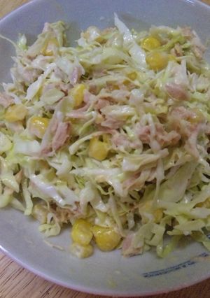 キャベツの為のサラダ-レシピのメイン写真
