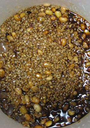 Home-Made　もろみ味噌2010-レシピのメイン写真