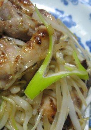 鶏とネギは塩味で-レシピのメイン写真