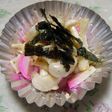 お弁当に✿キノコのタルタル炒め✿