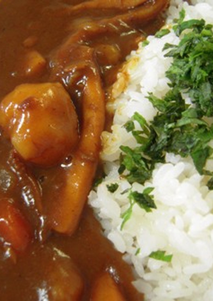 和風なカレーライス-レシピのメイン写真