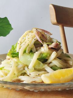 旨塩レモン麺みょうが☆肉うどん☆家族絶賛-レシピのメイン写真
