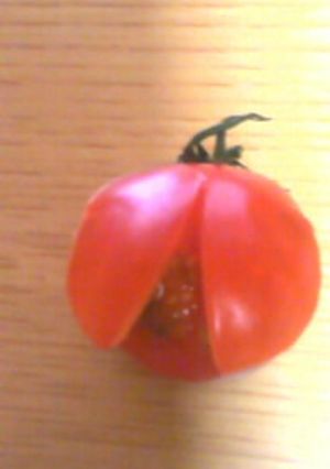 てんとう虫(トマト、いちご)-レシピのメイン写真