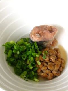 納豆ねぎさばぶっかけうどん♪-レシピのメイン写真