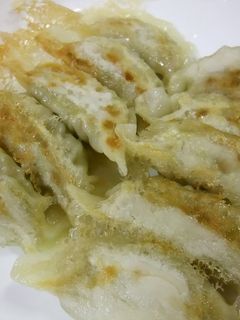 我が家の餃子-レシピのメイン写真