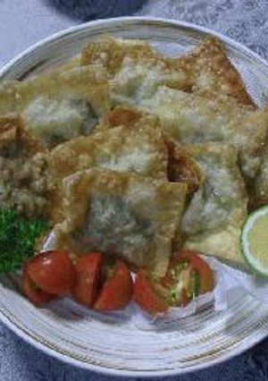 ワンタンの包み揚げ-レシピのメイン写真