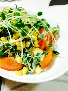 簡単に美味しく野菜を食べよう☆豆苗入りツナコーンサラダ-レシピのメイン写真