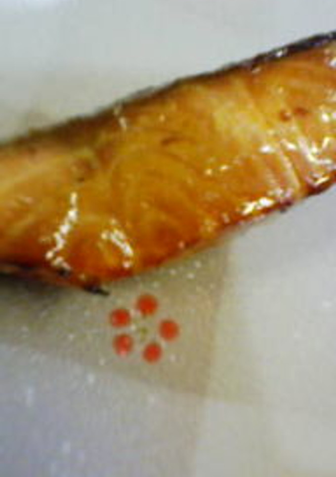 鮭の漬け焼き-レシピのメイン写真