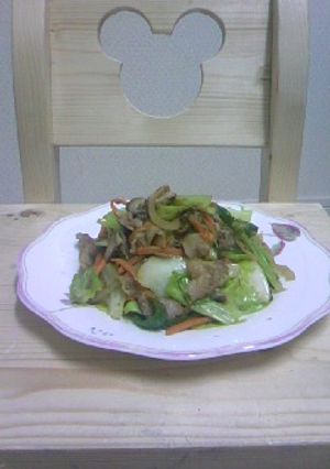 野菜炒め☆-レシピのメイン写真
