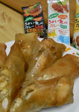 ✿味付け不要??第2弾✿カレー春巻き✿-レシピのメイン写真