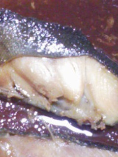 レンジde煮魚-レシピのメイン写真
