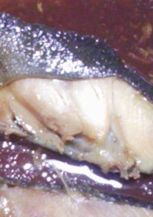 レンジde煮魚-レシピのメイン写真