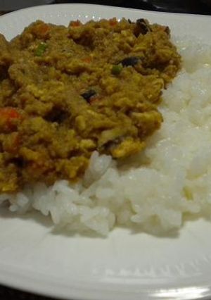 残った卯の花でドライカレー-レシピのメイン写真
