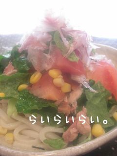 簡単!和風サラダうどん-レシピのメイン写真