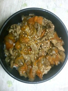 簡単で手早くきんぴら丼☆-レシピのメイン写真