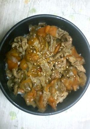 簡単で手早くきんぴら丼☆-レシピのメイン写真