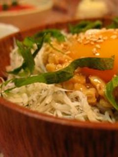 健康に大満足☆しらす納豆ごはん♪-レシピのメイン写真