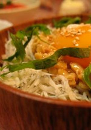 健康に大満足☆しらす納豆ごはん♪-レシピのメイン写真