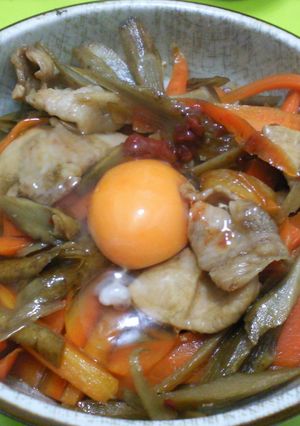 更に手軽に!きんぴら丼!【リスペクト作】-レシピのメイン写真